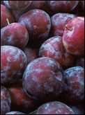 Santa Rosa Plums