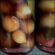 Pickled Onions