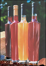 Fruit Syrups - 350 ml