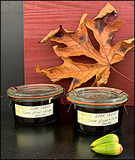 Ume Plum & Rose Paste